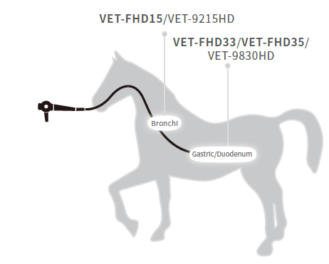 aohua or 100 vetx 2