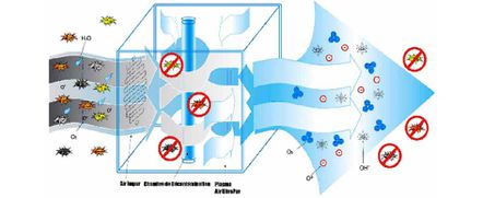 filtration biozone 1