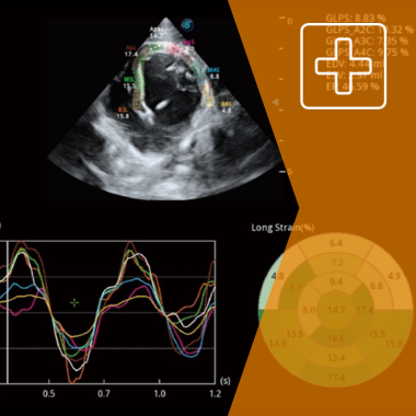 grid echographie veterinaire vetx orange