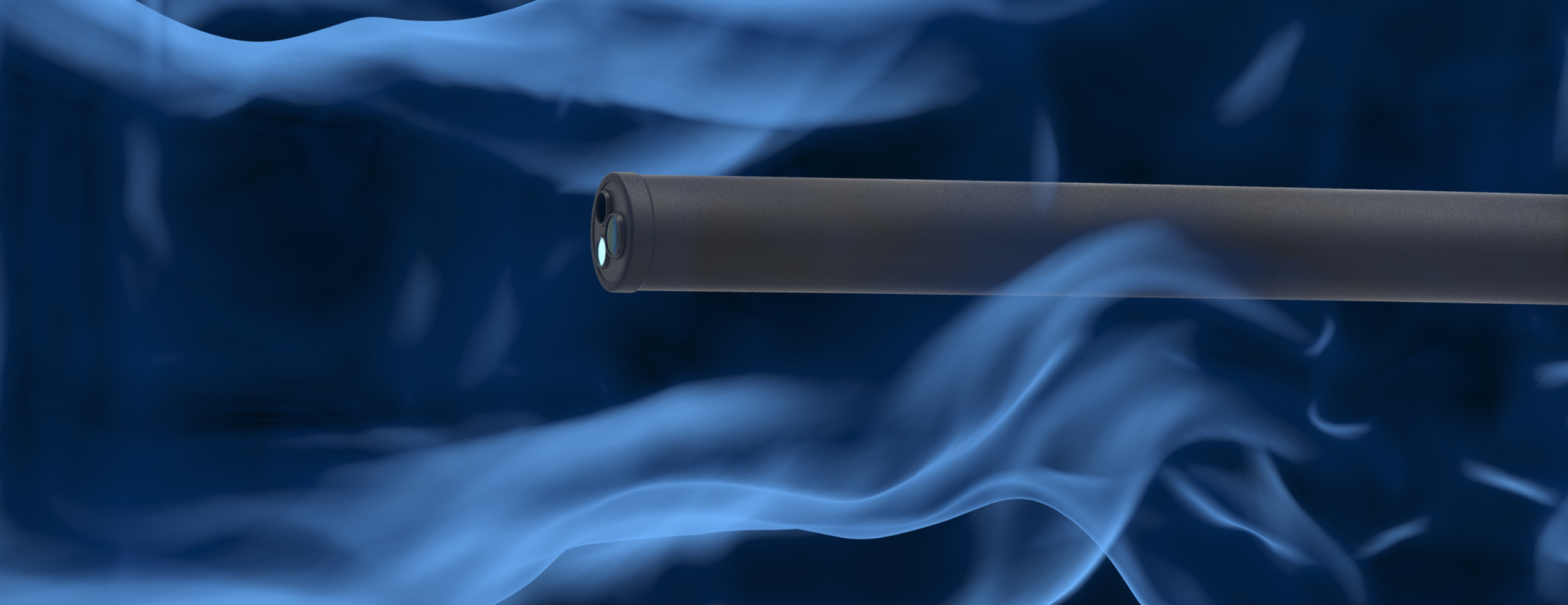 Quelles pathologies est-il possible de détecter grâce à l’endoscopie vétérinaire ? 